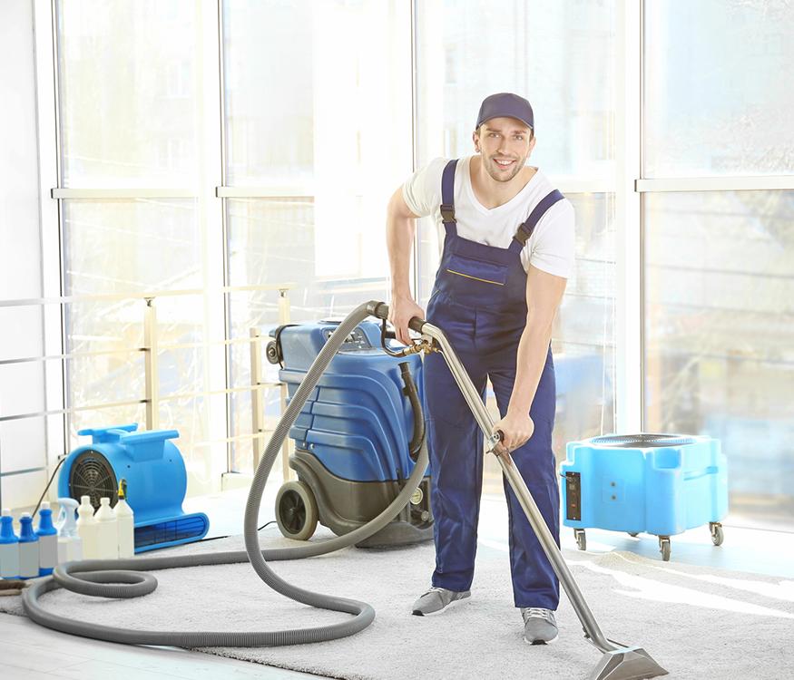Carpet & Sofa Cleaning Greenbelt